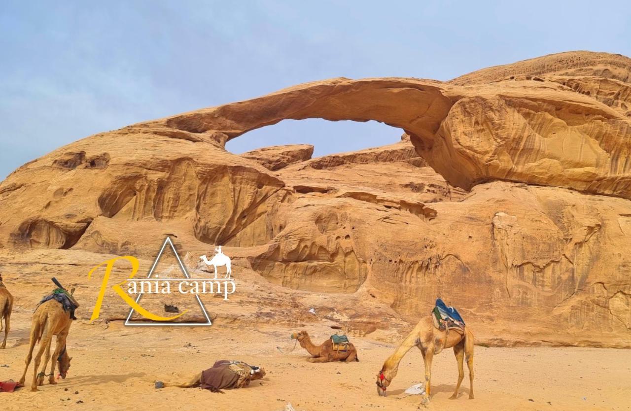 מלון Wadi Rum,Rania Camp מראה חיצוני תמונה