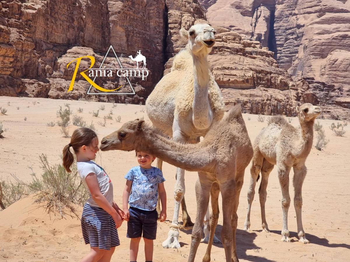 Wadi Rum,Rania Camp מראה חיצוני תמונה
