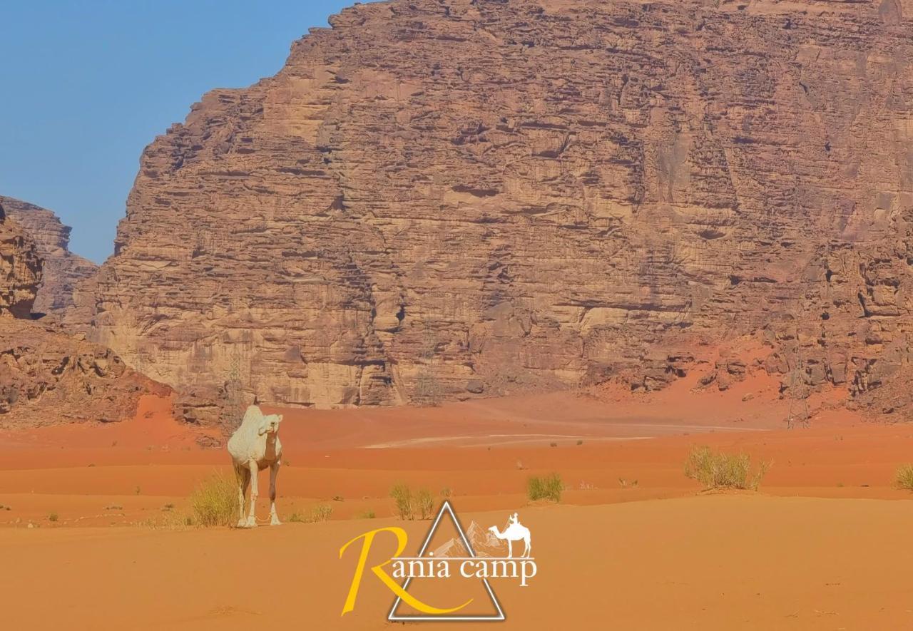 Wadi Rum,Rania Camp מראה חיצוני תמונה